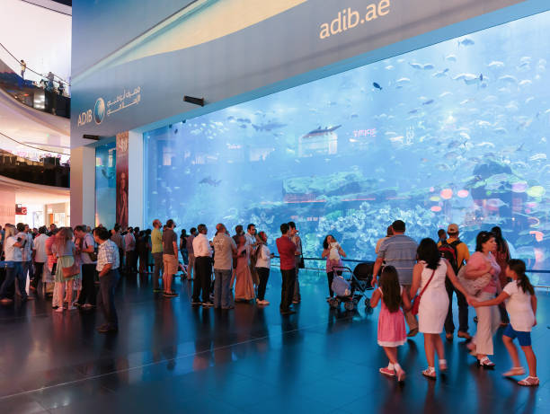 Best Activities for Kids in UAE