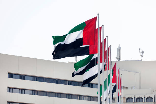 The Government and Political System in UAE