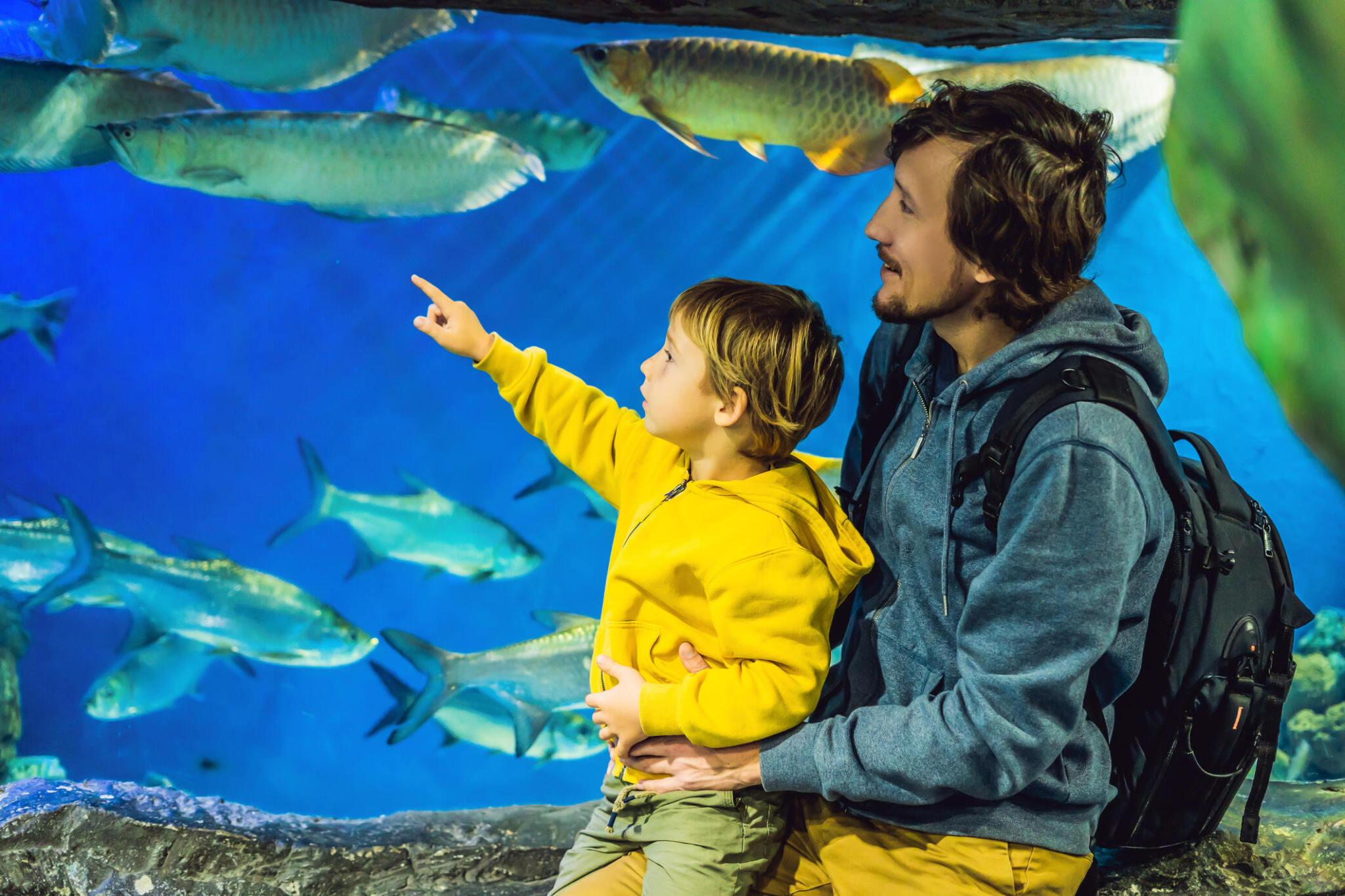 Dubai Aquarium, 