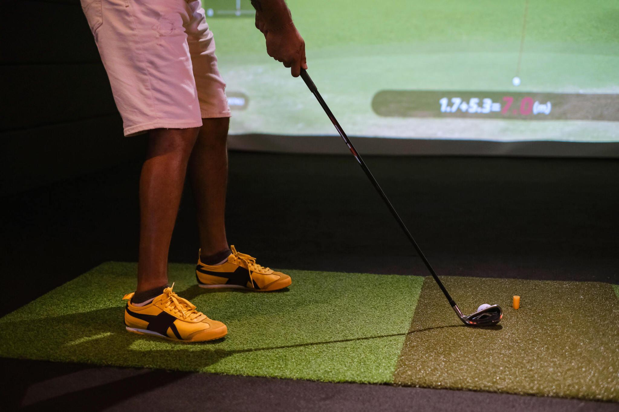 Indoor Golf,