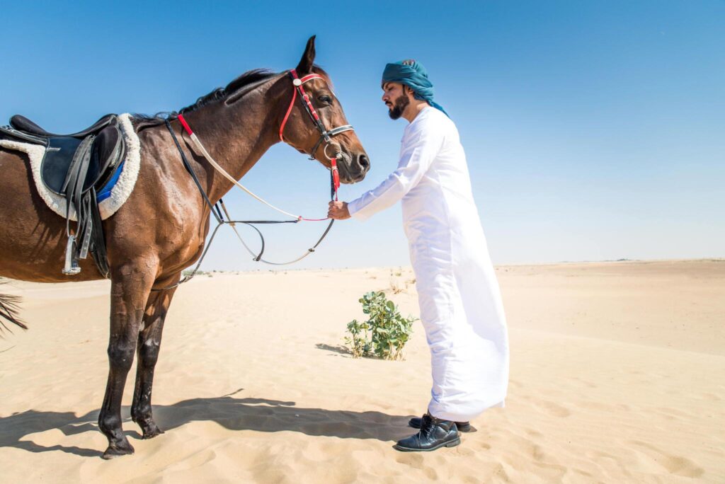 Horse Riding in Dubai,