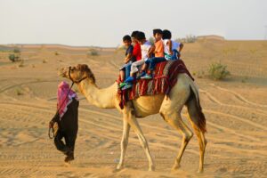 Family Desert Safari Dubai,