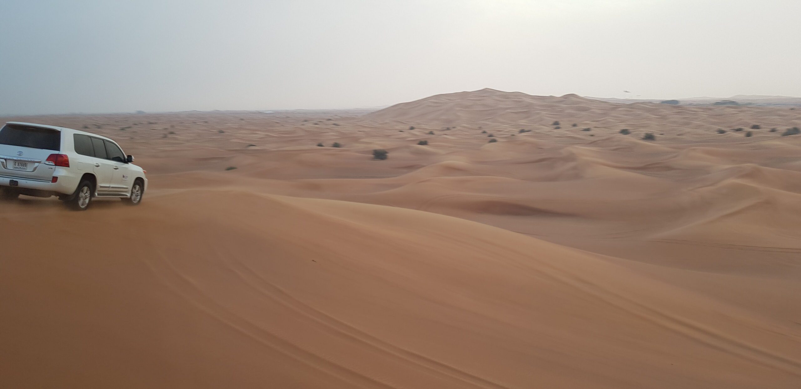 Liwa Desert,