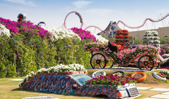 Dubai Miracle Garden,